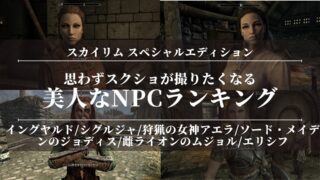 【スカイリムSE】思わずスクショが撮りたくなる美人なNPCランキング！modなし！加工なし！結婚できる！