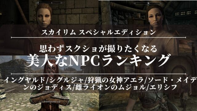 【スカイリムSE】思わずスクショが撮りたくなる美人なNPCランキング！modなし！加工なし！結婚できる！