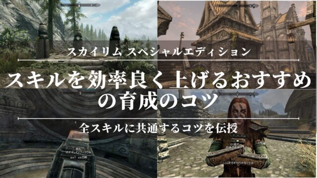 【スカイリムSE】スキルを効率良く上げるおすすめの育成のコツ！上がらない？裏技？全スキルに共通するコツを伝授！